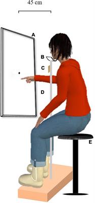 Visuomanual Vertical Prism Adaptation: Aftereffects on Visuospatial and Auditory Frequency Representations